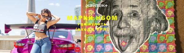 стаф Богданович