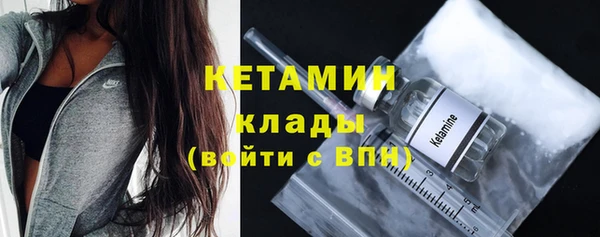 стаф Богданович