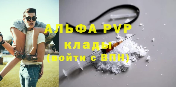 стаф Богданович