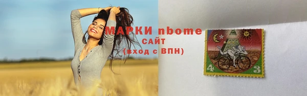 стаф Богданович