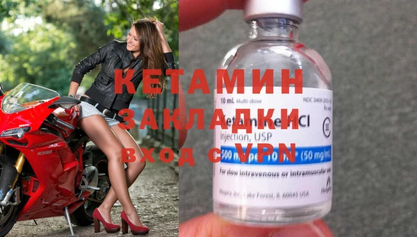 стаф Богданович