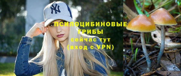 прущие крисы Богородск